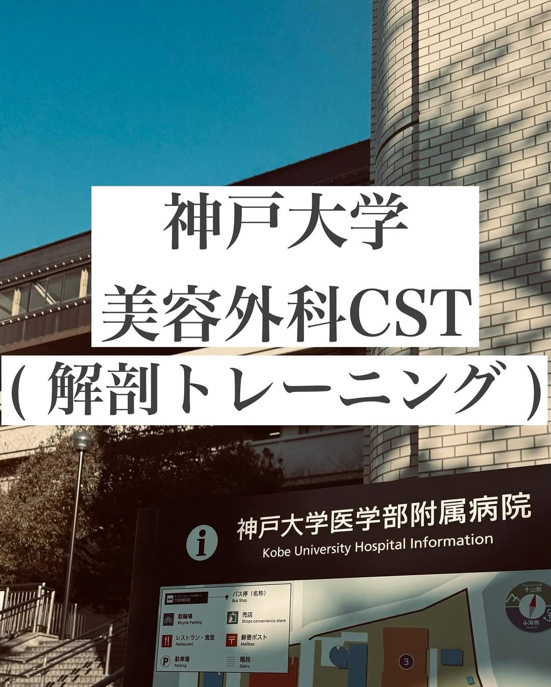 神戸大学の解剖トレーニング(CST)に参加しました — フェイスリフトの解剖を学ぶ